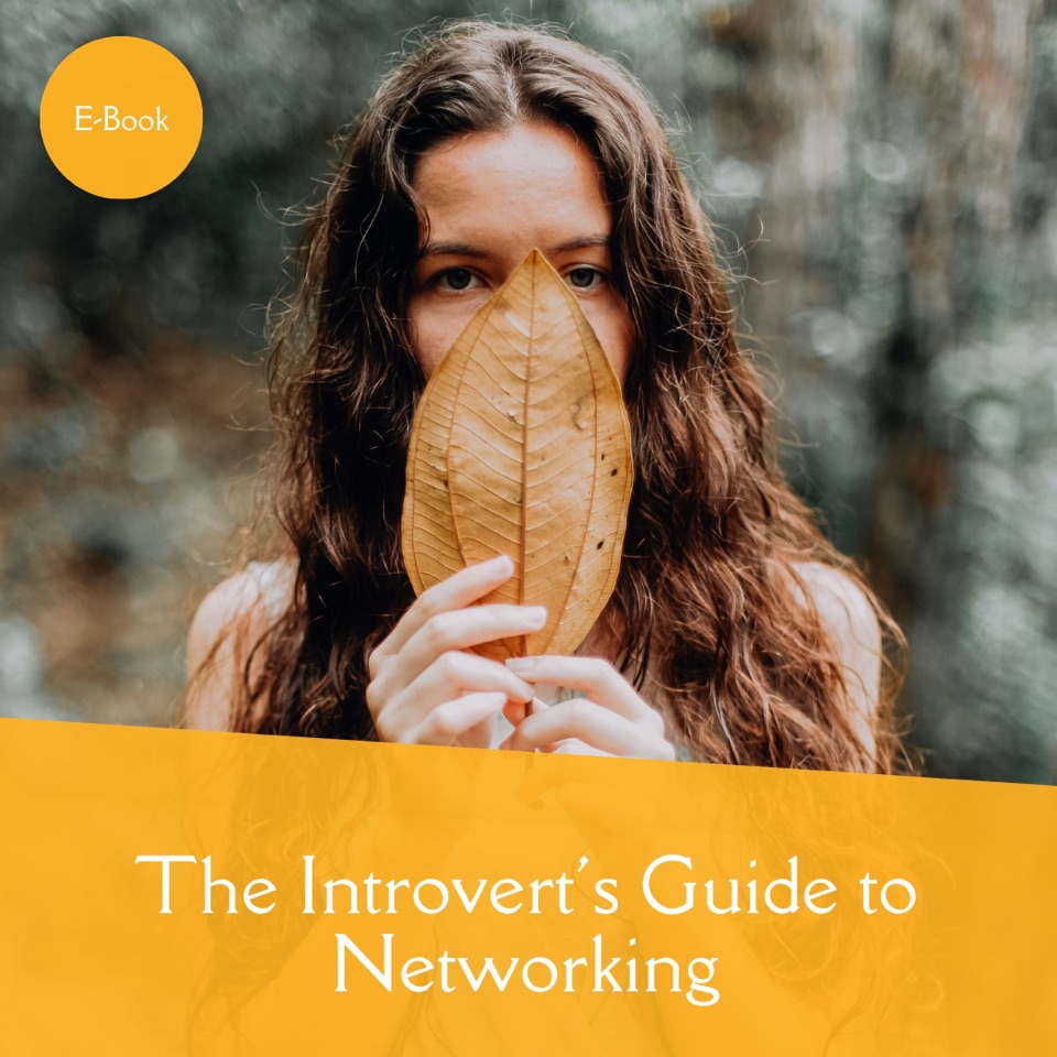 Introvert’s Networking Guide