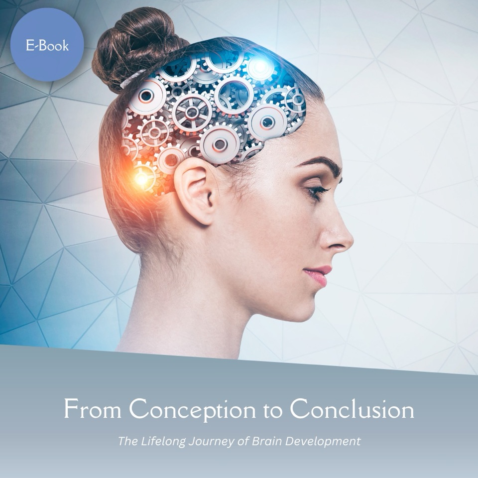 The Lifelong Journey of Brain Development