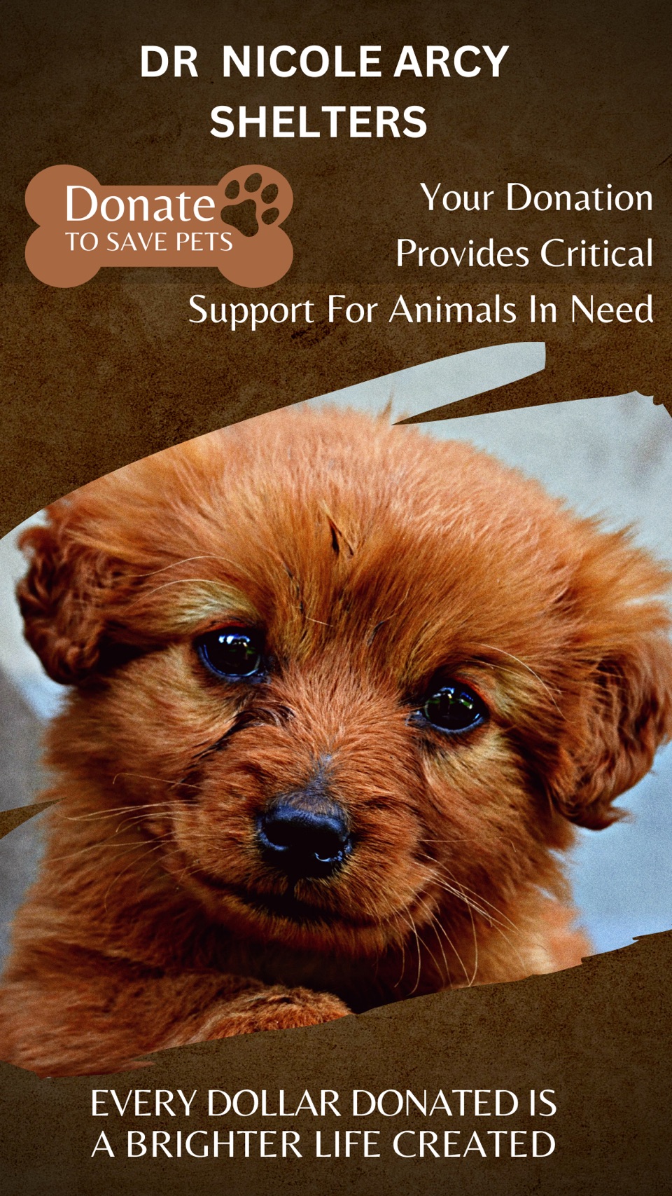 DR NICOLE COLLECTION’S